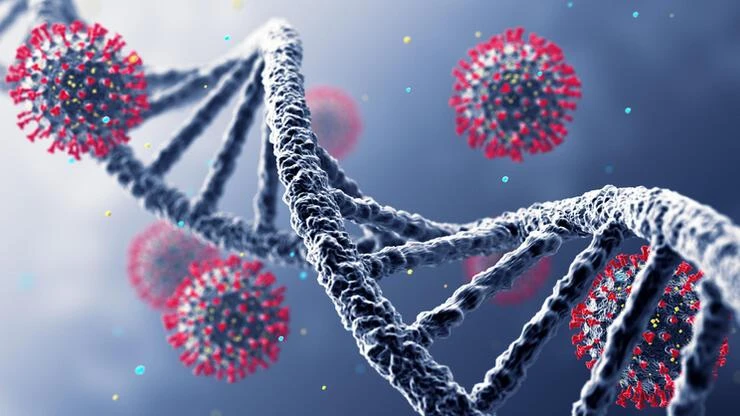 Güney Afrika Devlet Başkanı: Sınırları acilen açın bu haksızlık!